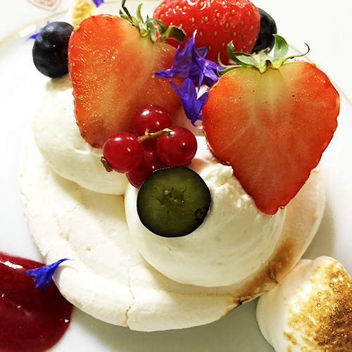 pavlova